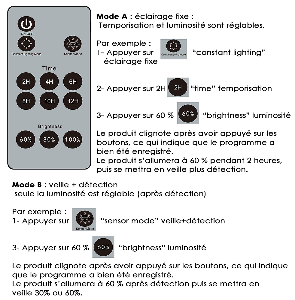 Projecteur/lanterne solaire